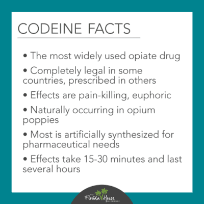 Codeine: Abuse, Addiction and Treatment | FHE Health