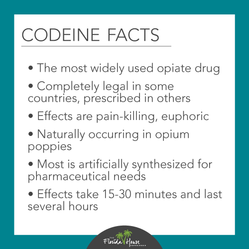 Codeine Facts - Abuse and Addiction