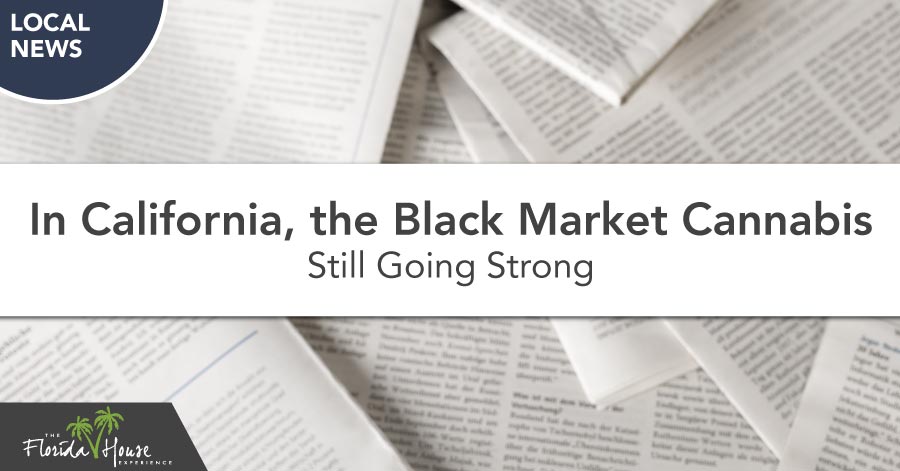 Black Market Cannabis - In California