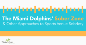 Sober Zone seating at Miami Dolphins