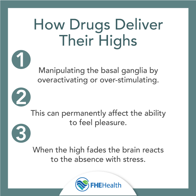 How do drugs deliver a high?