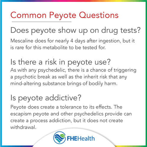 FAQ about Peyote
