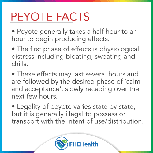 Facts about the drug peyote