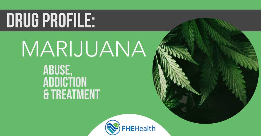 Drug Profile - Marijuana -Abuse, Addiction and Treatment