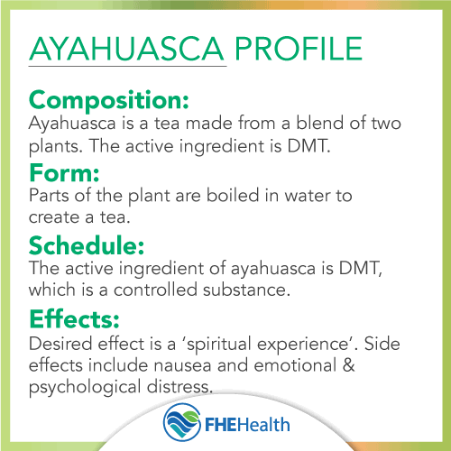 Ayahuasca Profile: The composition, form, schedule