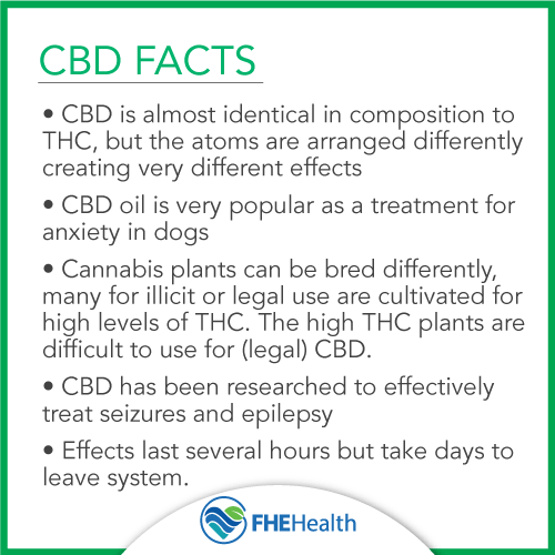 Facts about the drug CBD 