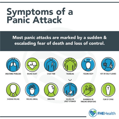 what does a dog anxiety attack look like