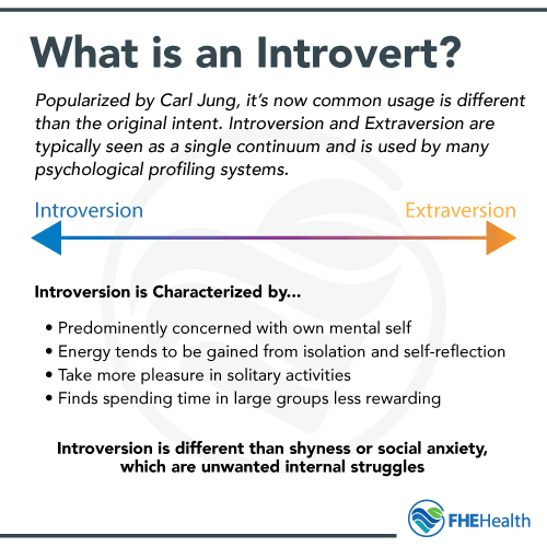Understanding what an introvert is