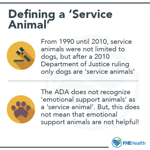 How do you define a service animal?