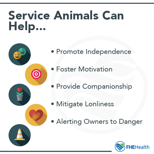 Service animals can help with