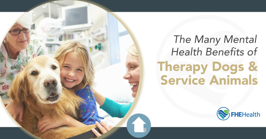 Therapy Animals - The mental health benefits and how to get the