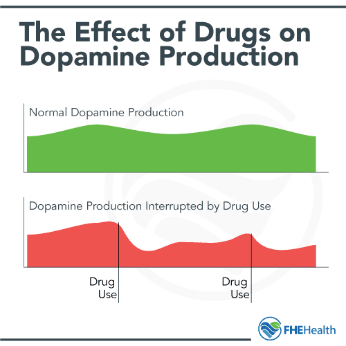 The Effect of Drugs on Dopamine Production