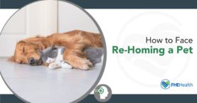 Rehoming a Pet