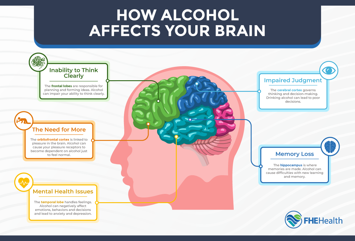 How alcohol affects your brain function