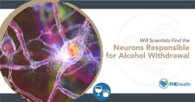 Cracking the Code: Uncovering Neurons in Alcohol Withdrawal