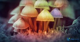 What Is Hallucinogen Persisting Perception Disorder (HPPD)?