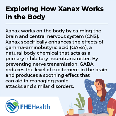 Exploring How Xanax Works in the Body