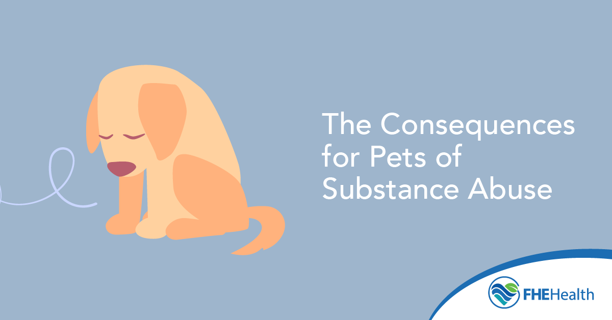The Consequences for Pets of Substance Abuse