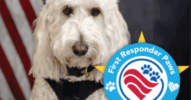 First Responder Paws 2024 Winner - Kora