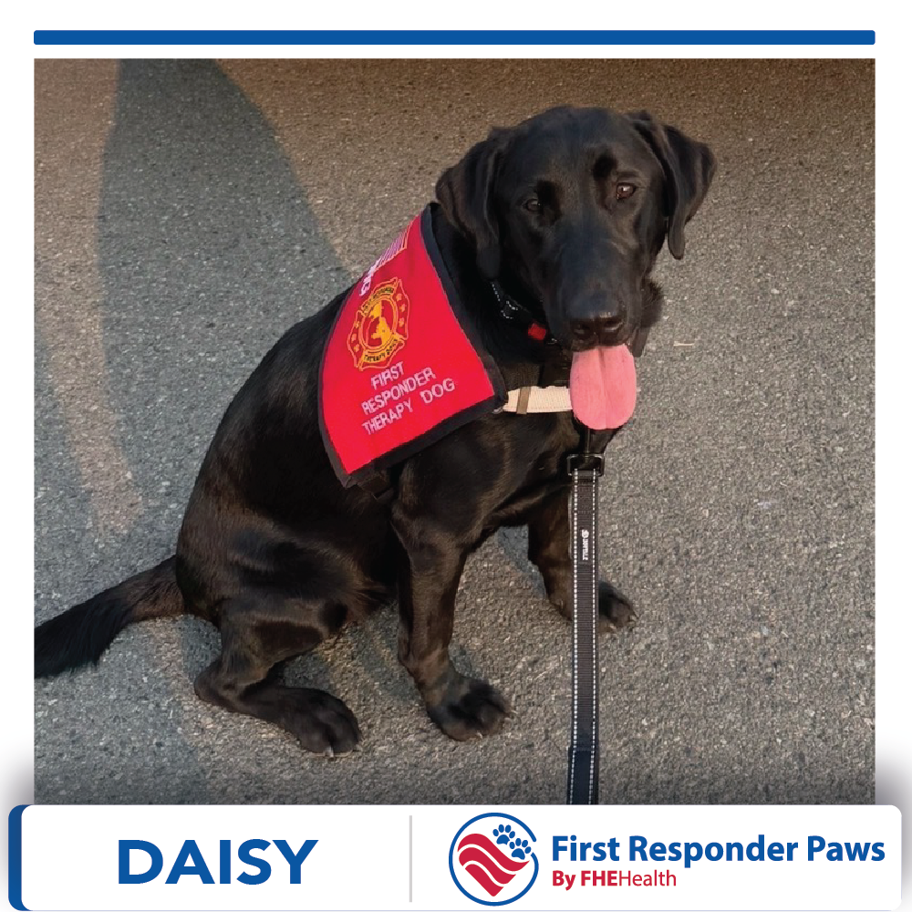 Daisy