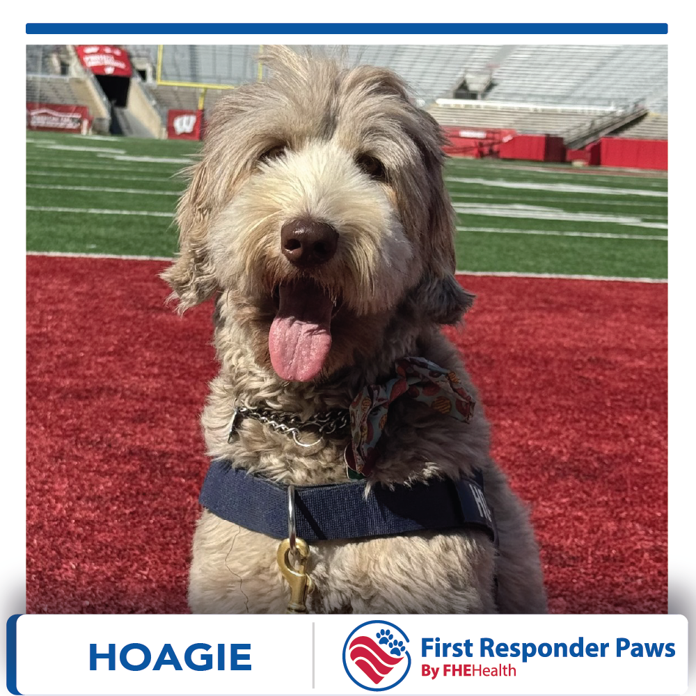 Hoagie