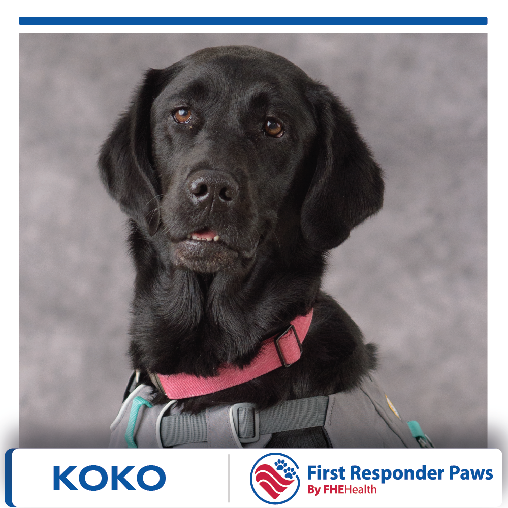 Koko