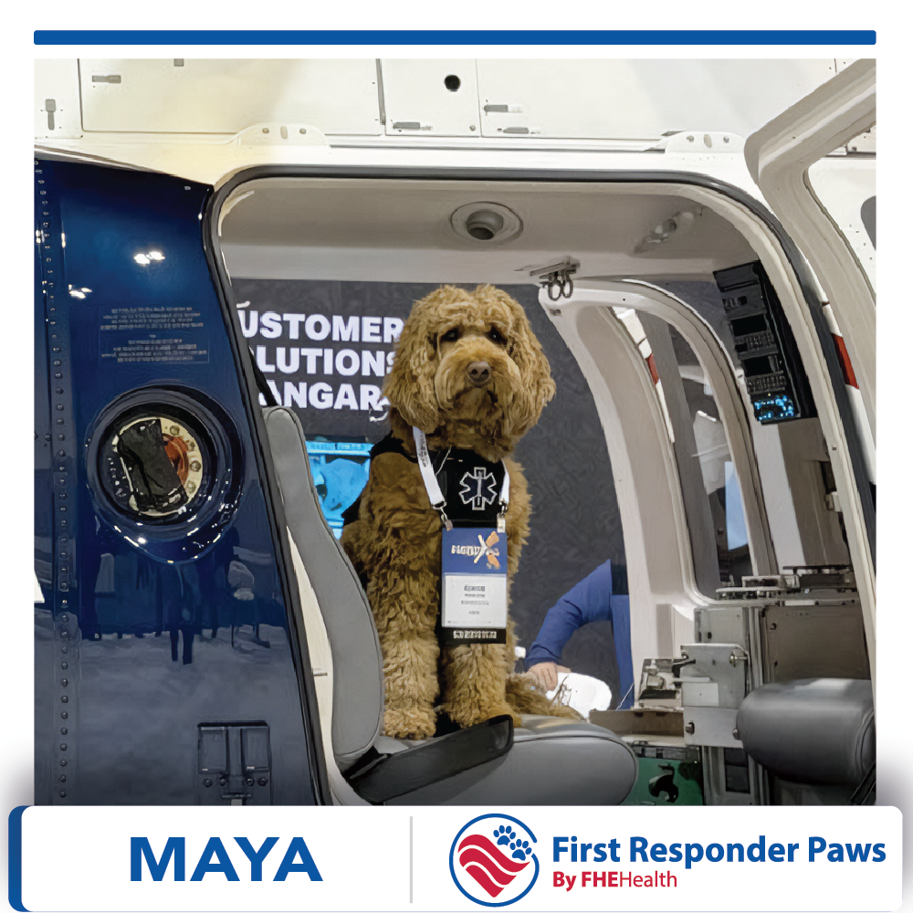 Maya