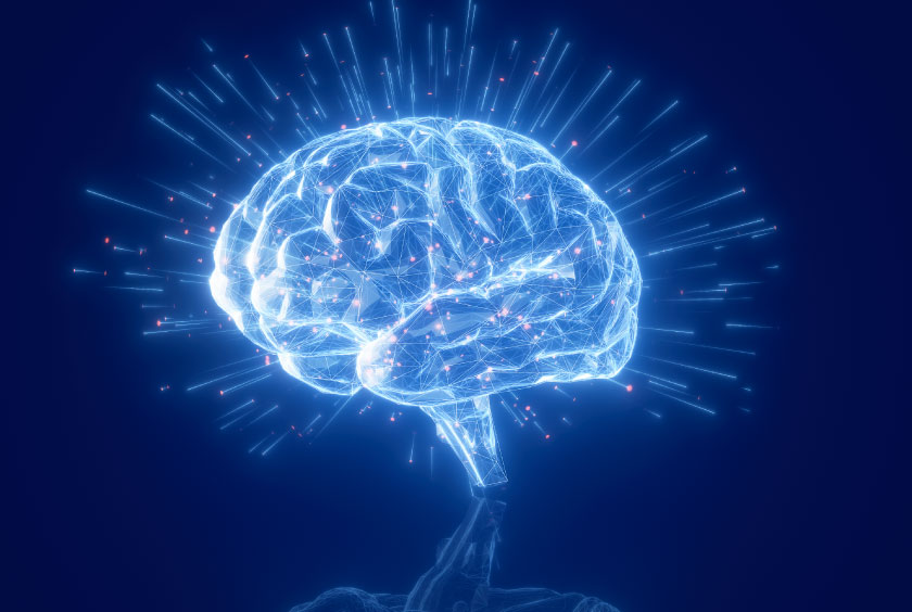 Brain mapping scan used in NeuroRehab assessment